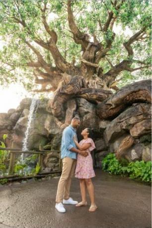 iemūžiniet savu mirkli Disney fotosesijā dzīvnieku valstības dzīvības koks