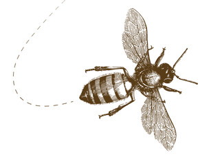 ilustrētas bites uz ziediem
